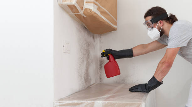 Professional Mold Inspection And Testing technician working in DeWitt, MI