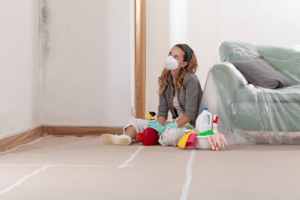 Reliable Mold Inspection And Testing contractor in DeWitt, MI by 24 Hour Mold Removal